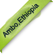 Third Ambo Logo Picture